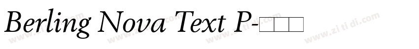 Berling Nova Text P字体转换 Berling Nova Text P字体转换